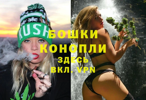 спайс Новодвинск