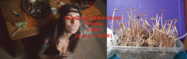 каннабис Новокубанск