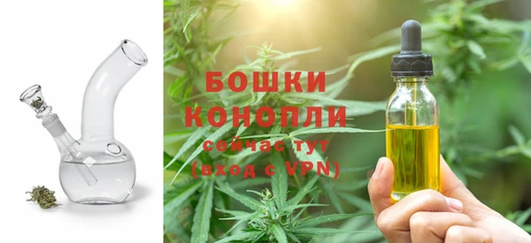 дживик Нягань