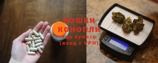 дживик Нягань