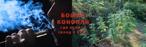 спайс Новодвинск