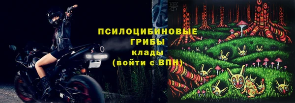 спайс Новодвинск