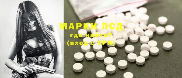 эйфоретик Няндома
